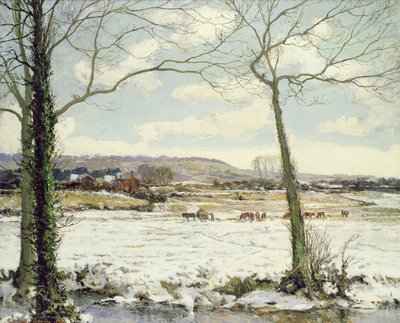 The Frozen Meadow by Alexander Jamieson